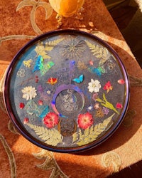 a tray with butterflies and flowers on it