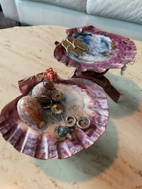 two shells on a table with seashells on them